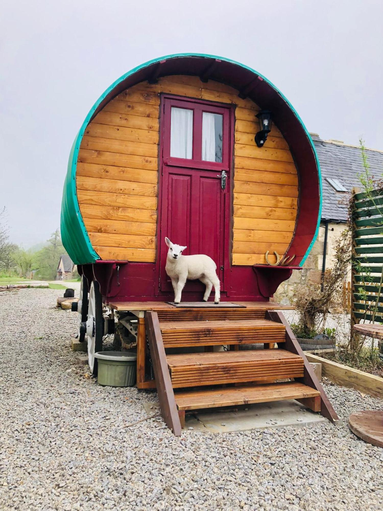 Bowtop Wagon At Lettoch Farm Keith Esterno foto